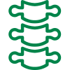 orthopedic billing services icon spine