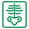 radiology billing services icon